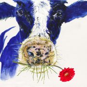 Cow with flower