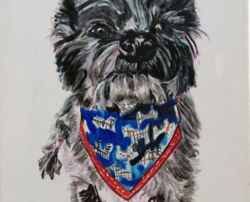 Cairn Terrier. Sam James Fine Art