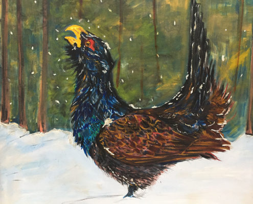 Capercaillie Bird - Private Commission 50x60cm. Sam James Fine Art