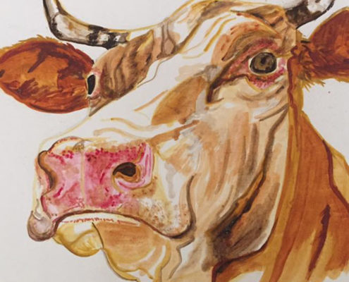 Herefordshire bull 50x60cm. Sam James Fine Art