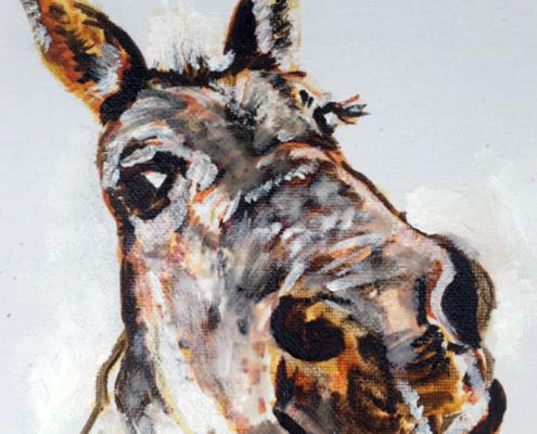 Swinford the mule - Private Commission 25x30cm. Sam James Fine Art