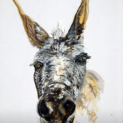 Swinford the mule 50x60cm. Sam James Fine Art
