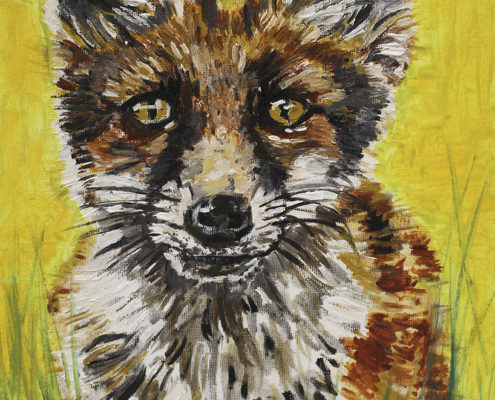 Fox Cub 25x30cm. Sam James Fine Art