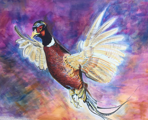 Pheasant in flight. 50x60cm. Sam James Fine Art
