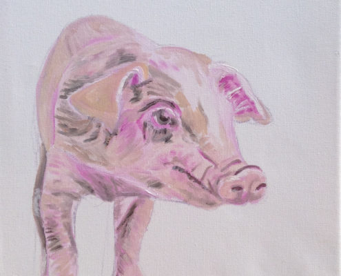 Wilbur the piglet. Sam James Fine Art