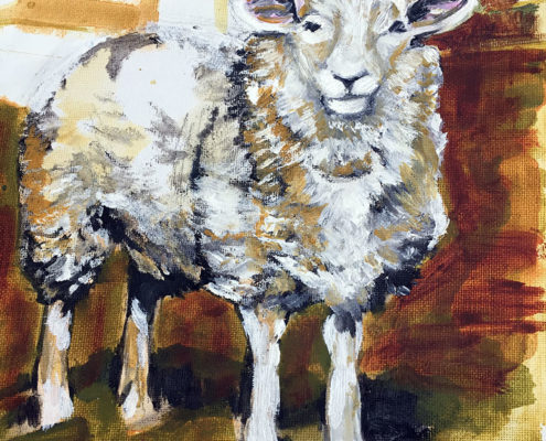Jenny Sheep - Private Commission 25x30cm. Sam James Fine Art