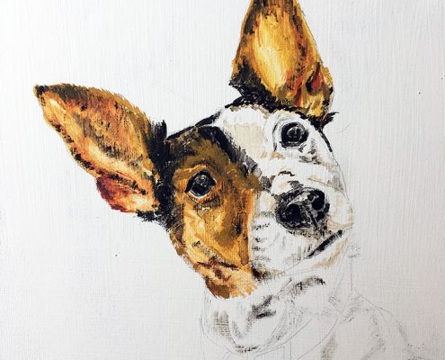 Betty Bo 25x30 – TO BE FINISHED - Sam James Fine Art