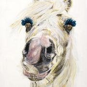 Glamour Horse. Sam James Fine Art