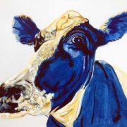 Gertrude Cow 50x60cm. Sam James Fine Art