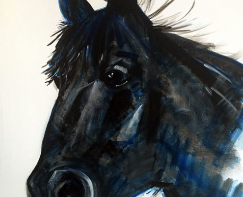 Cracker- Private Commission. 50x60cm. Sam James Fine Art