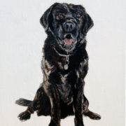 Black Lab. Sam James Fine Art