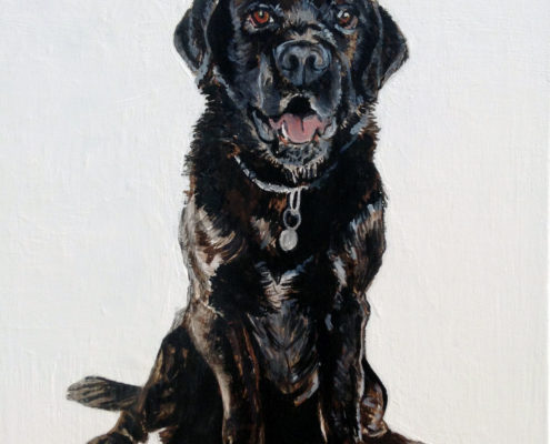 Black Lab. Sam James Fine Art