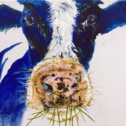 Betsy the Cow. 50x60cm. Sam James Fine Art