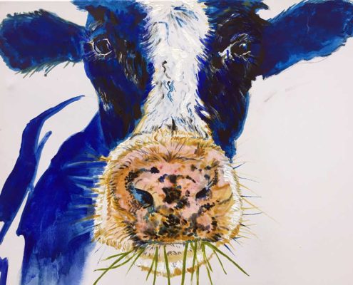 Betsy the Cow. 50x60cm. Sam James Fine Art