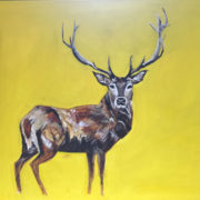 Red Stag 50x60cm. Sam James Fine Art