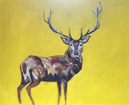 Red Stag 50x60cm. Sam James Fine Art