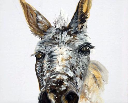 Swinford the mule 50x60cm. Sam James Fine Art