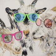 Glamour Goats. Sam James Fine Art.