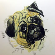 Ellie Pug - Private Commission 25x30cm. Sam James Fine Art