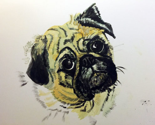 Ellie Pug - Private Commission 25x30cm. Sam James Fine Art