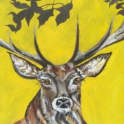 Stag Head. 50x60cm.. Sam James Fine Art