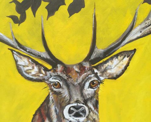 Stag Head. 50x60cm.. Sam James Fine Art