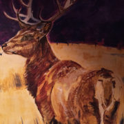 Highland Stag 50x60cm. Sam James Fine Art