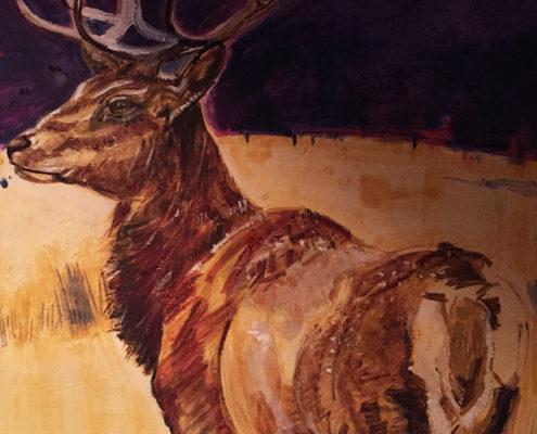 Highland Stag 50x60cm. Sam James Fine Art