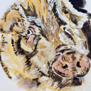 Steve’s Pig 40x50cm. Sam James Fine Art
