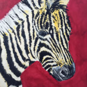 Zebra 40x50cm. Sam James Fine Art