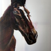 Thoroughbred Race Horse - Private Commission. 60x90cm